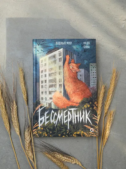 Бессмертник - фото 9