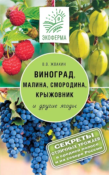 Виноград, малина, смородина, крыжовниик и другие ягоды - фото 1