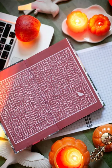 Ястреб Черной Королевы - фото 5