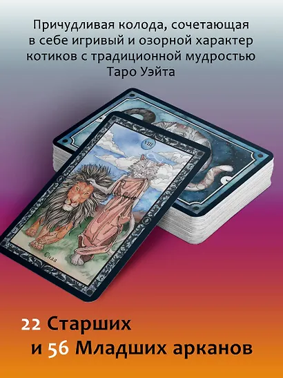 Таро теплых котиков. Предсказания, которые помогут и защитят - фото 5