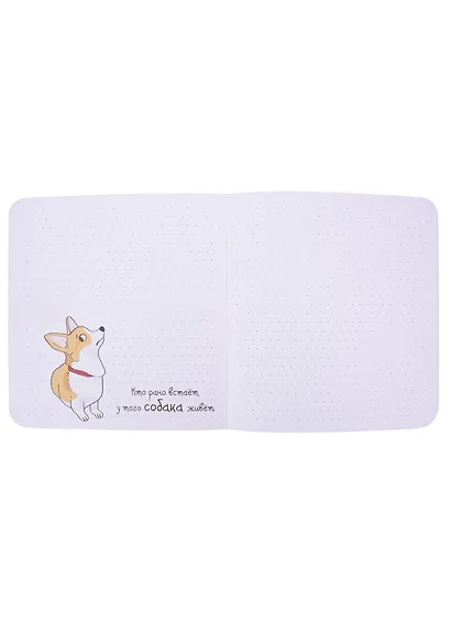 Записная книжка 130*130 32л тчк. "Корги" карт.обл., дизайнерск.внутр.блок, ассорти - фото 4