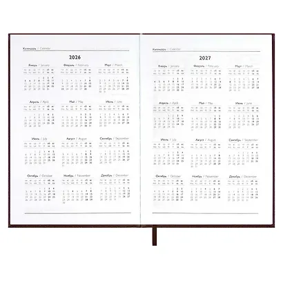 Ежедневник дат. 2026г. А5 176л "Наппа" коричневый, кожзам, тв.переплет, обл.поролон, блинт.тиснение, офсет, справ.мат-лы, ляссе, инд.уп - фото 6