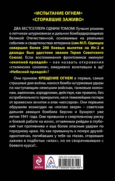Крещение огнем. "Небесная правда" "сталинских соколов" - фото 2