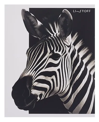 Тетрадь 48л кл. "Черно-белые животные" мел.картон, ассорти - фото 6