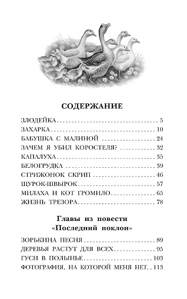 Белогрудка. Рассказы для детей - фото 8