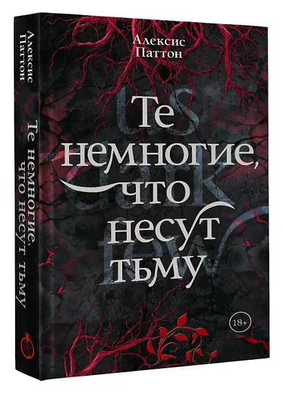 Те немногие, что несут тьму - фото 3