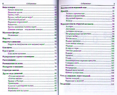 Школа верховой езды для начинающих - фото 3