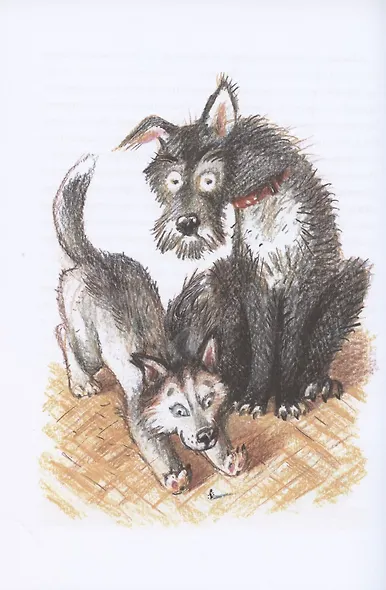 Переводчик с собачьего - фото 4