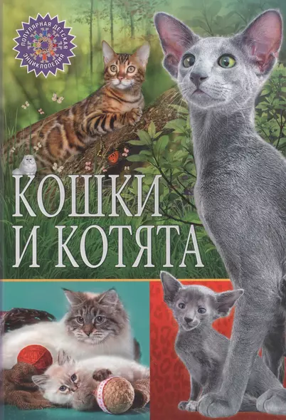 Кошки и котята - фото 1