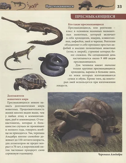 Живая природа. Энциклопедия - фото 6