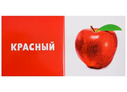 Первые слова. Цвета. Фотокнига - фото 2