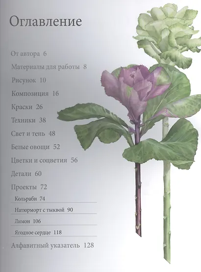 Портреты фруктов и овощей. Практическое руководство по рисованию акварелью - фото 3