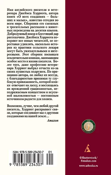 Кошачьи истории - фото 2