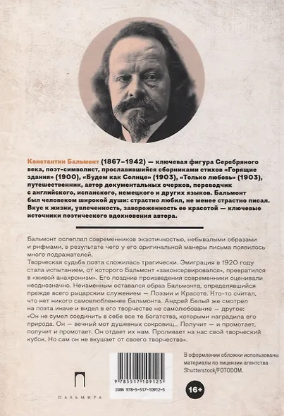 Всеозаряющее. Стихотворения - фото 2