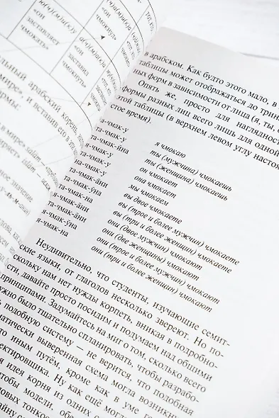 Развитие языка - фото 8