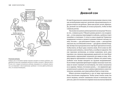 Когда дети плохо спят. Циркадные ритмы, часовые гены и другие секреты сомнологии для заботливых родителей - фото 7