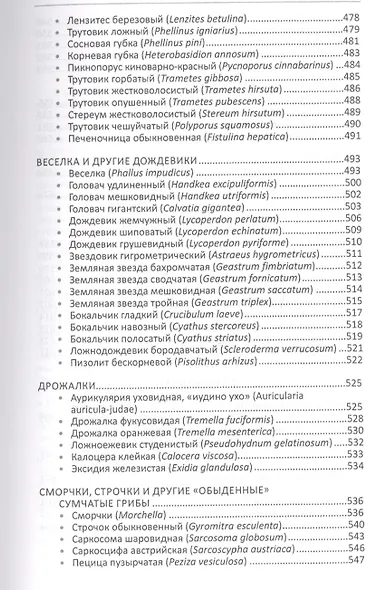 Лекарственные грибы России - фото 6