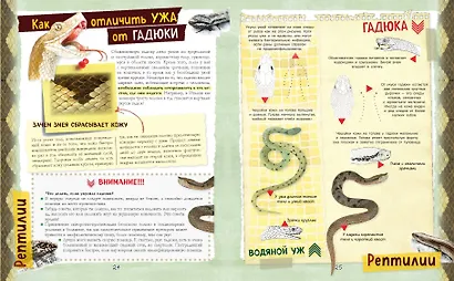 Большой подарок для мальчика. Энциклопедия для настоящих мальчишек - фото 8