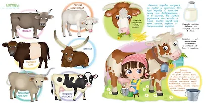 Заботимся о малышах. На ферме - фото 3