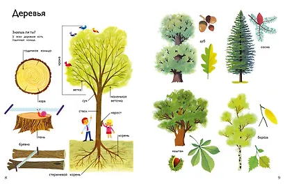 Моя первая энциклопедия в картинках - фото 4