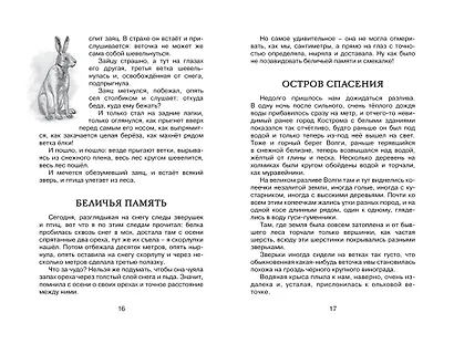 Лисичкин хлеб - фото 9