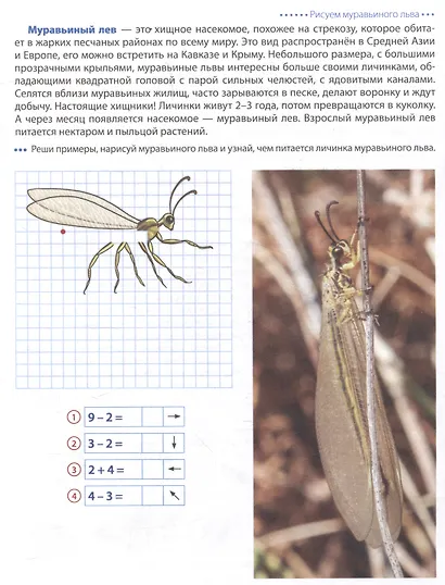 Шагаем по клеточкам. Насекомые. Графические диктанты детям 6-7 лет - фото 6