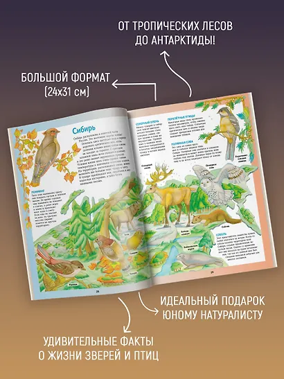 Атлас животных в картинках. Путешествие вокруг света - фото 5