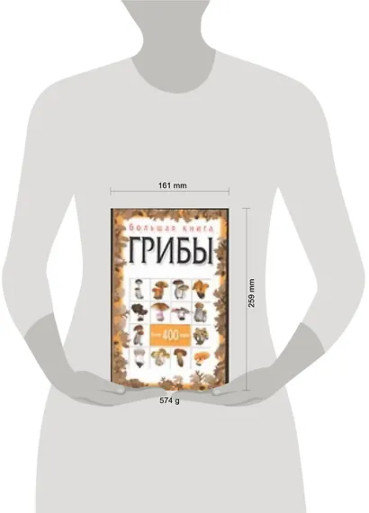 Большая книга. Грибы - фото 2