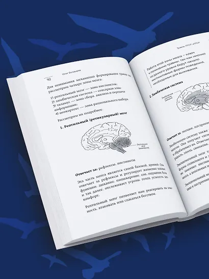 Травма, Птср, кПтср. Практическое руководство для перезагрузки мозга и тела после психологических потрясений - фото 9
