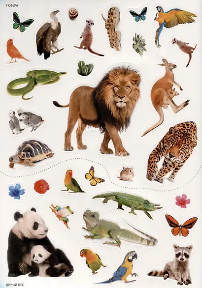 В зоопарке. Фотонаклейки - фото 4