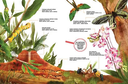 Насекомые в натуральную величину - фото 8