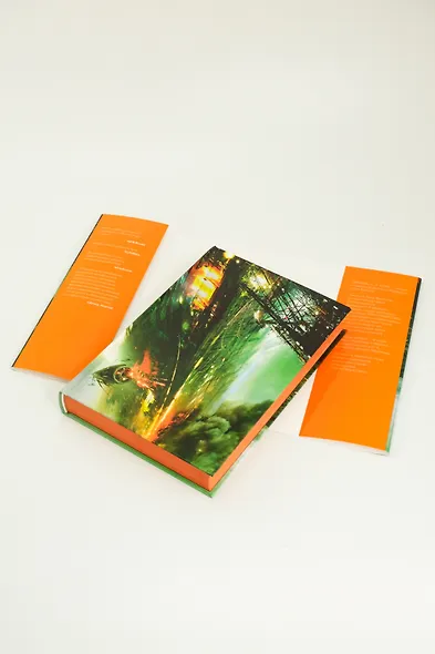 Пространство. Книга 4. Пожар Сиболы - фото 11