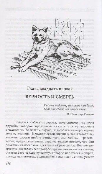 Агрессия (так называемое "зло"). Человек находит друга - фото 6