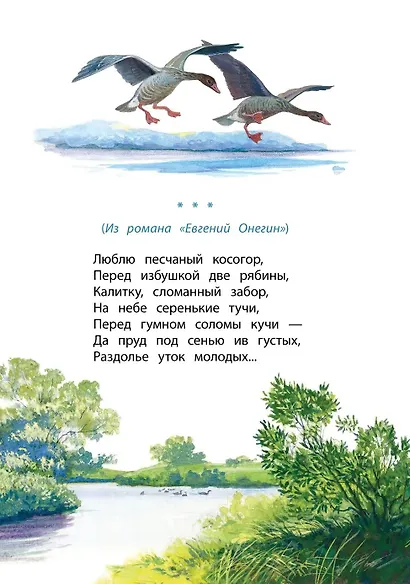 Очей очарованье - фото 11