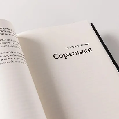 Спасатели, или Убить фюрера - фото 8