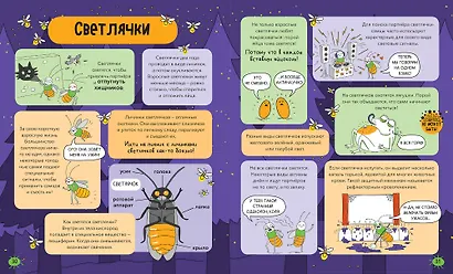 Насекомые и не только. От шмелей до навозных жуков: все ползуче-летучие факты, рекорды и достижения - фото 7