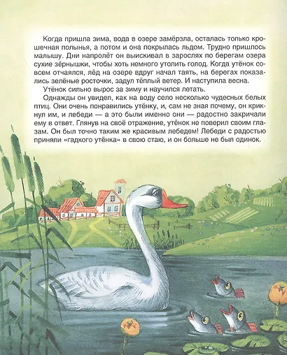 Красная шапочка. Сказки - фото 5