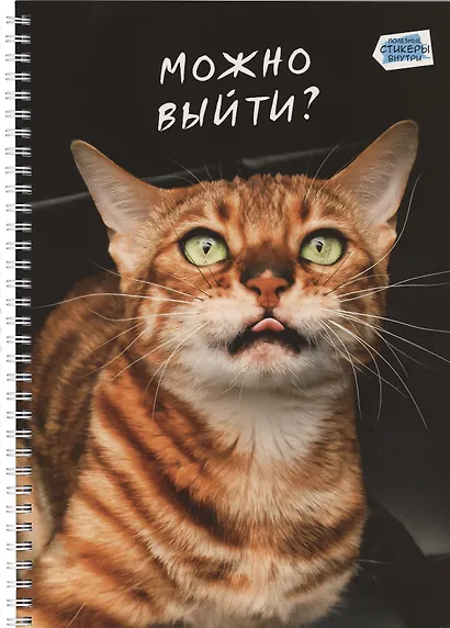 Тетрадь А4 80л кл. "Котики" мел.картон, твин-лак, наклейки, евроспираль - фото 1