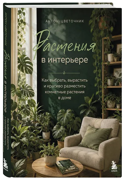 Растения в интерьере. Как выбрать, вырастить и красиво разместить комнатные в доме - фото 3