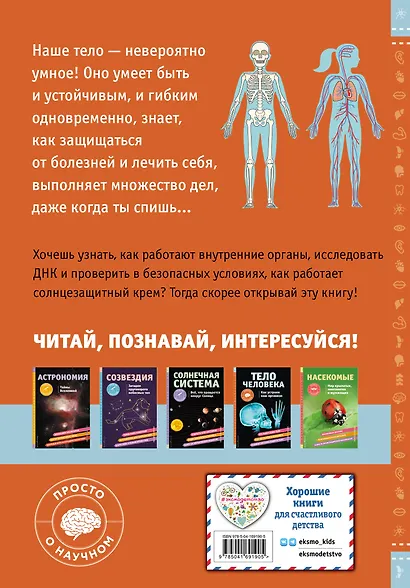 ТЕЛО ЧЕЛОВЕКА. Как устроен наш организм - фото 2
