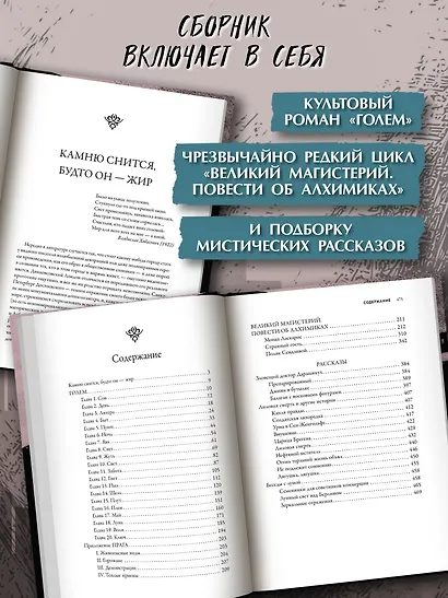 Странный гость: сборник - фото 4