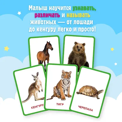 Кто это? Животные. Развивающие карточки для малышей по методике Глена Домана - фото 8