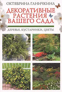 Декоративные растения вашего сада: деревья, кустарники, цветы - фото 1
