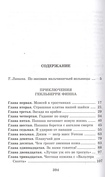 Приключения Гекльберри Финна : роман - фото 2