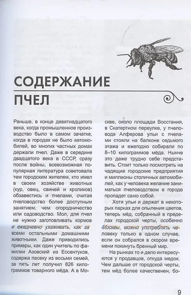 Пчеловодство для начинающих - фото 8