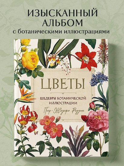 Цветы. Шедевры ботанической иллюстрации Пьер-Жозефа Редуте - фото 4
