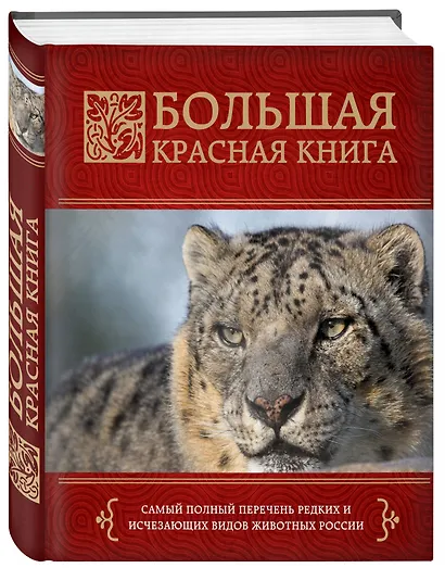 Большая красная книга - фото 3