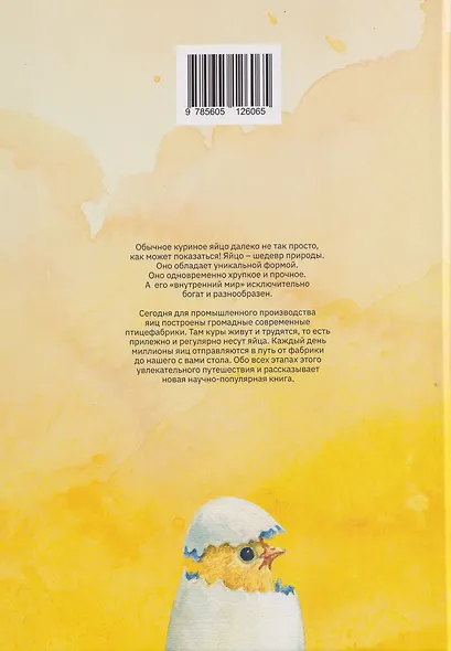 Секреты куриного царства - фото 2