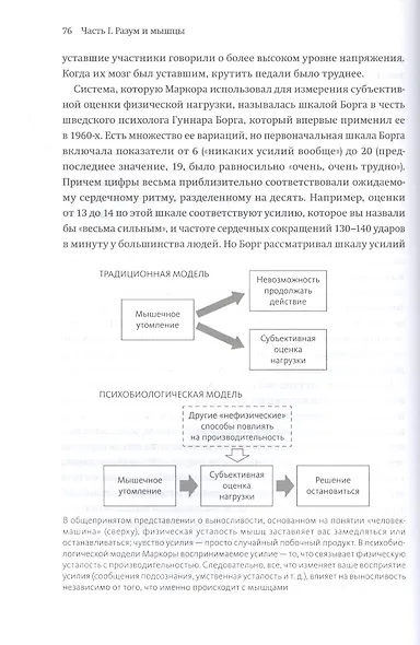 Выносливость. Разум, тело и удивительно гибкие пределы человеческих возможностей - фото 8