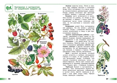 Плешаков. От земли до неба. Атлас-определитель. 1-4 класс /ШкР - фото 8